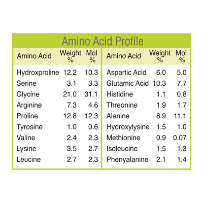 Gelatin Health Gelatin amino acid profile