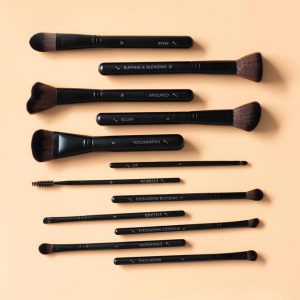Eco by Sonya Driver 12 piece vegan cosmetic brush set wihout case