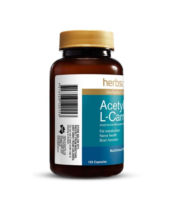 Acetyl L-Carnatine 60 Capsules by Herbs of Gold with left side view of bottle